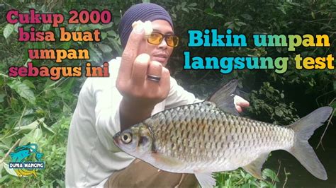 Cara Membuat Umpan Ikan Wader Langsung Tes Dunia Mancing Youtube