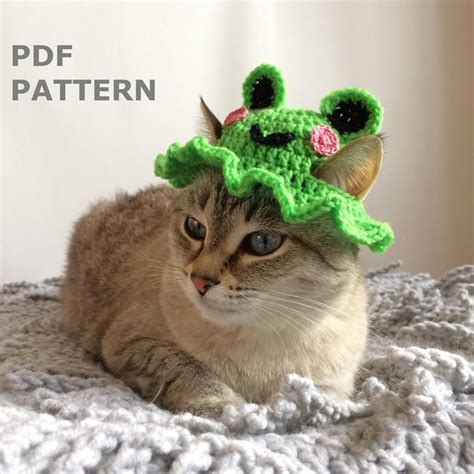 Crochet Hat For Cat Frog Hat Crochet Pattern For Pets Bucket Frog