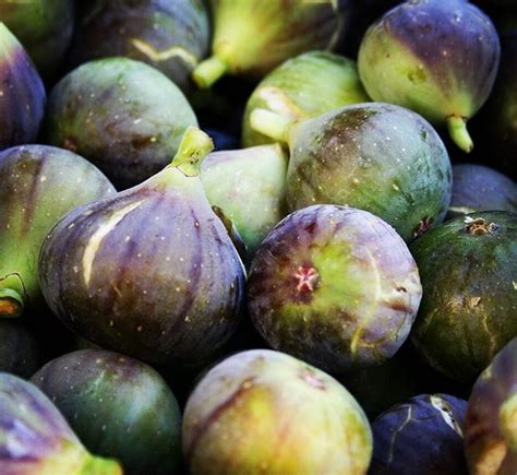 Fruit Of Love ️ Figs Rumored Aphrodisiac Properties Comes From Their