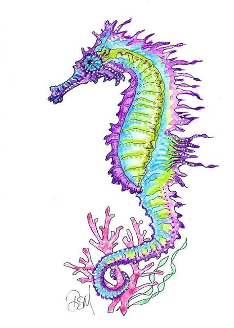 Fantástico Dibujo De Caballo De Mar Seahorse Art Sea Life Art