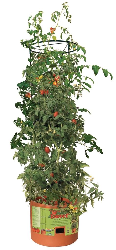 6 Top Hydroponic Tower Garden 2020 Reviews Growyour420