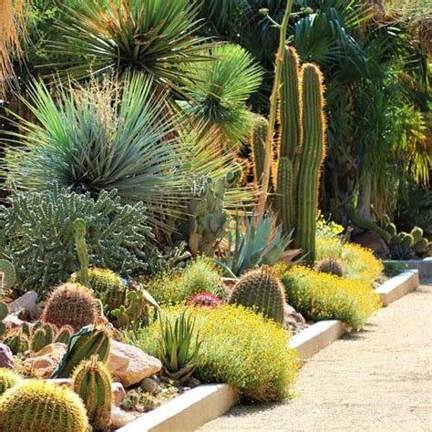 35 Inexpensive Desert Landscaping Ideas Pictures Balcony Garden Web