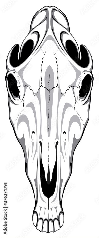 Image Of A Horse Skull That Can Be Used For Printing On T Shirts As A