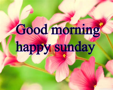 Good Morning Sunday Wallpapers Wallpaper Cave
