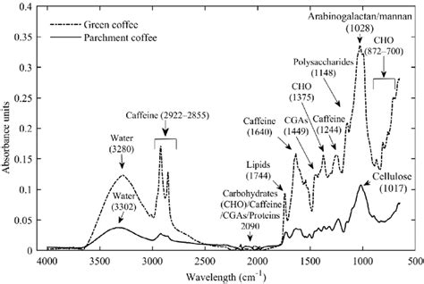 Mean Average Atr Ftir Spectra Of Ground Green And Parchment Coffee N