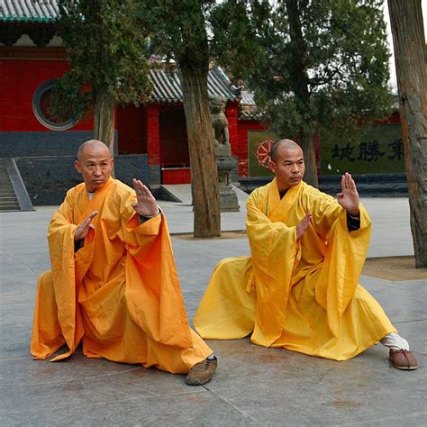 The Art Of Kung Fu Federation Wing Tsun System