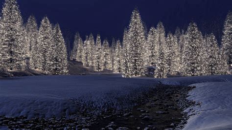 Night View Of Winter Season Wallpaper Hd Wallpapers
