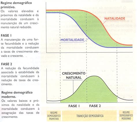 As Principais Características De Cada Fase Da Transição Demográfica