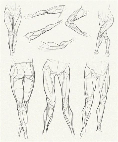 Human Anatomy Drawing Ideas And Pose References Beautiful Dawn Designs In Drawing
