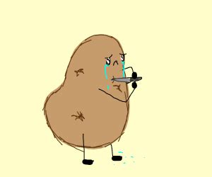 A burrito flew around my room before you came. A potato flew around my room - Drawception