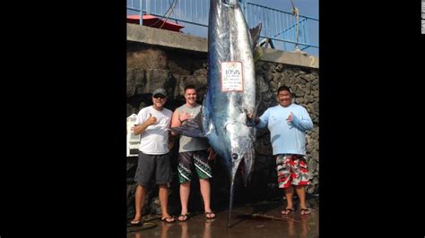 Teen Catches 1 058 Pound Blue Marlin Off Hawaiian Coast CNN Travel