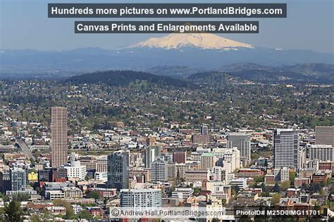 We did not find results for: Portland Mt. Hood View from Pittock Mansion Photo ...
