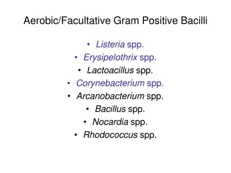 Ppt Aerobic Facultative Gram Positive Bacilli Powerpoint Presentation Id