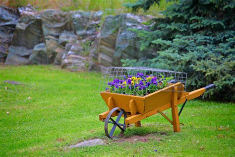 Maybe you would like to learn more about one of these? 27 Wheelbarrow Flower Planter Ideas for Your Yard