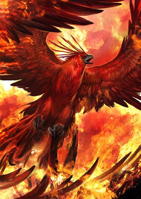 Phoenix Fantasy Phoenix Pinterest Phoenix Phoenix Rising And