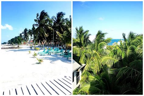 €* 29 ara 1991.bilgi ve gerçekler. Vacation Recap - Caye Caulker Belize (Part One) - Lauren ...