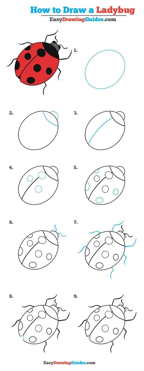 How To Draw A Ladybug Really Easy Drawing Tutorial Drawing Tutorial