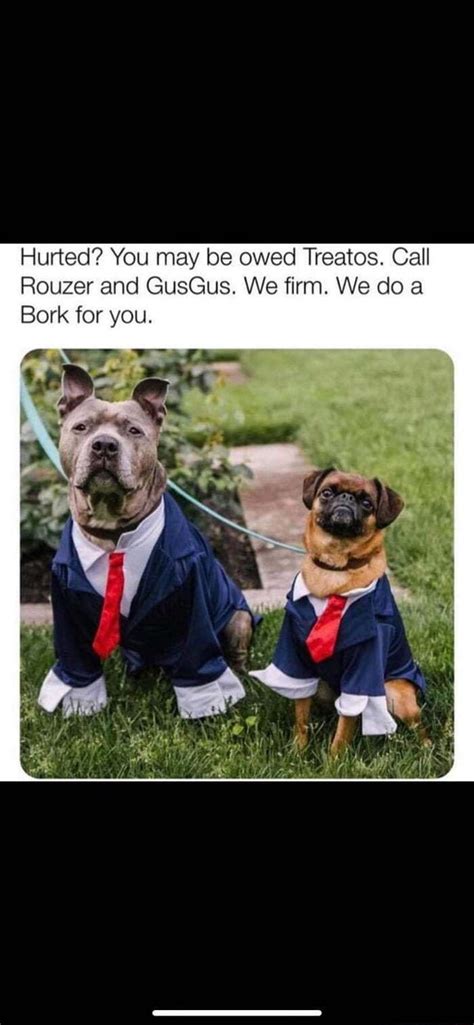 Hurted You May Be Owed Treatos Call Rouzer And Gusgus We Firm We Do