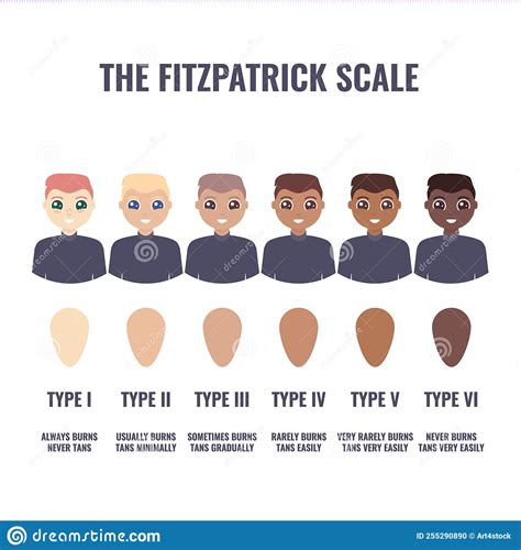 Fitzpatrick Skin Type Classification Scale In Men Stock Vector