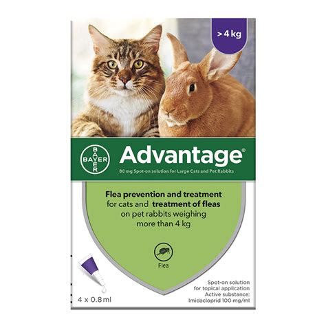 Advantage Spot On Flea Treatment For Large Cats And Rabbits 4 Pack Pets