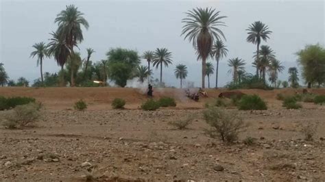 Yemens Disappearing Date Palms Applied Environmental Osint Bellingcat