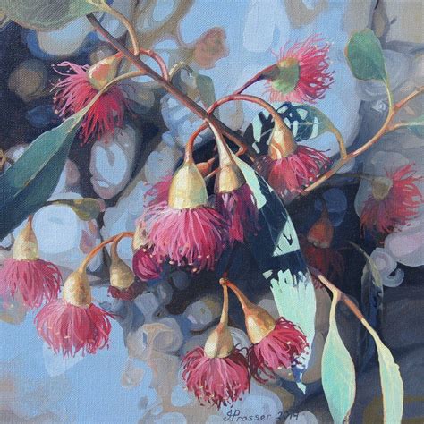 Australian Native Flower Art Prints And Paintings By Jaime Prosser
