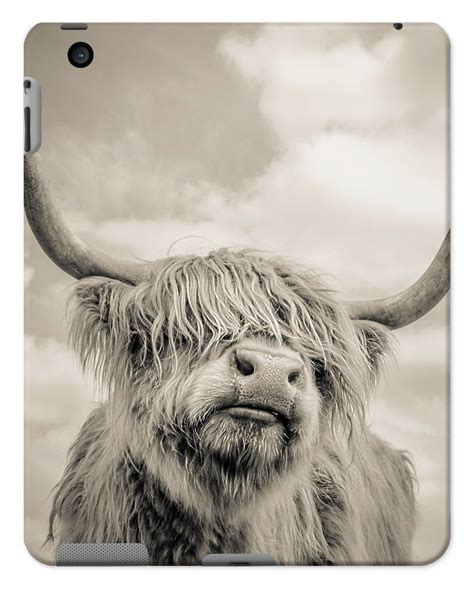 Highland Cattle 1 Tablet Cases Ipad 234 Gloss In 2021 Cute Cows