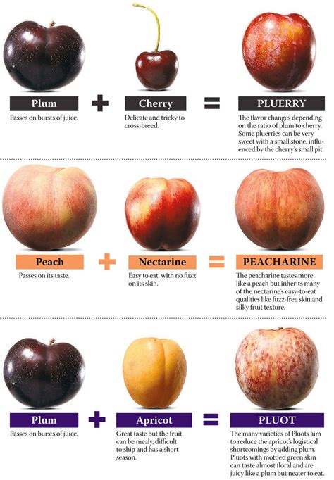 The Wall Street Journal Fresh Fruit Recipes Fruit Fruit