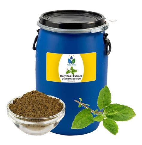 Holy Basil Extract Powder At Rs 3000kg Herbal Extract In Gurugram