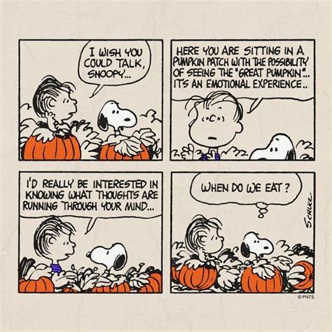 92 Best It S The Great Pumpkin Charlie Brown Images On Pinterest Happy Halloween Charlie