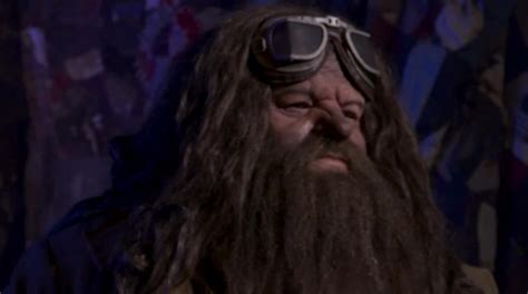 Obviously the later books are more helpful since harry and a lot of other characters are teenagers and presumably growing. Harry Potter world: Universal gives first look at ...