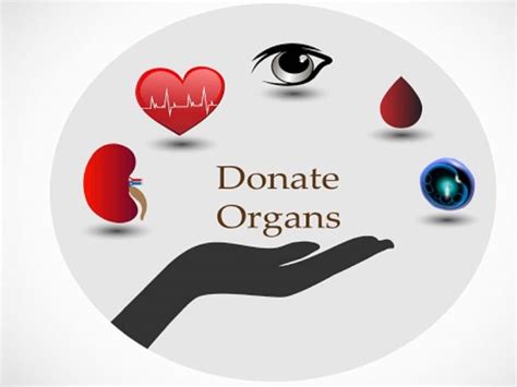 World Organ Donation Day Donate Your Organs And Save Lives But Be