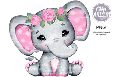 Acuarela Chica Elefante Clip Art Pequeño Cacahuete Floral Etsy