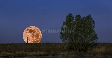 Moonrise Stock Photo Image Of Evening Bright Beginning 62885358