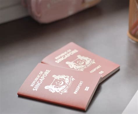 Access the online passport status system to check your application status. Singapore: Passport renewal becomes much easier now; Check ...