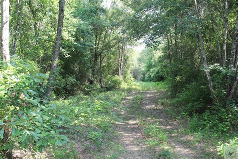 College Hill, Bowie County, TX Undeveloped Land for sale Property ID