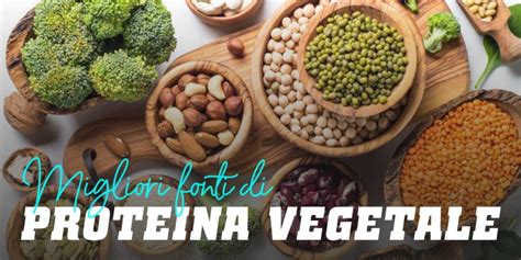 Proteine Vegetali Top 11 Migliori Fonti Proteina Vegetale