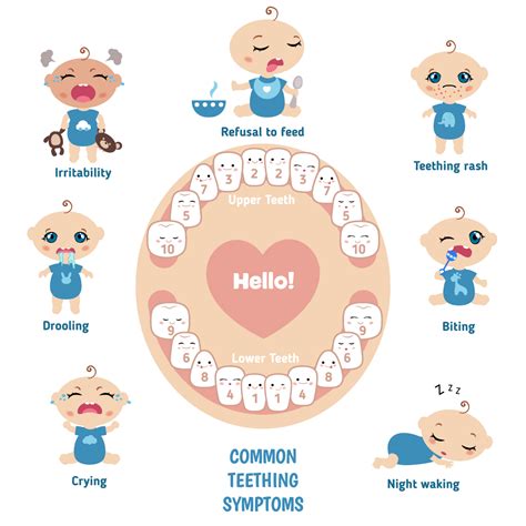 13 Signs Of Baby Teething Along With Symptoms And Remedies Artofit