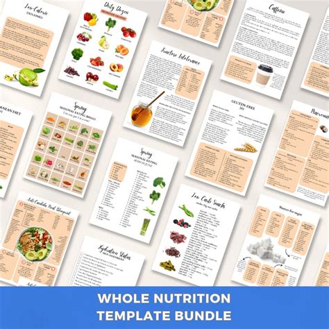 100 Editable Canva Nutrition Handouts Templates Meal Plan Etsy