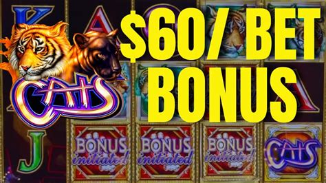 60bet Bonus On Cats Slot Machine And High Limit Dragon Link Happy