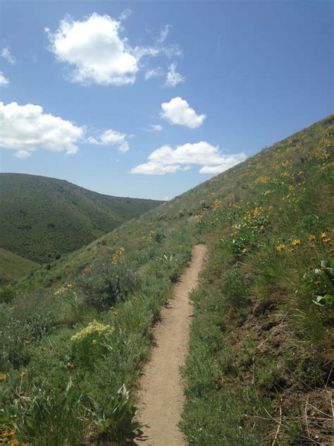 Boise Foothills Five Mile Gulch Trail Country Roads Trail Natural