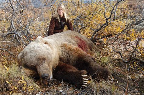 Grizzly Bear Hunt With The Best Hunt With A Company You Can Trust