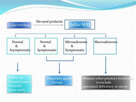 Prolactinoma And Men Syndromes