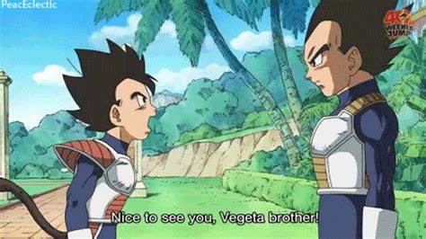 Vegeta | Dragon ball, Dragon ball goku, Best anime shows