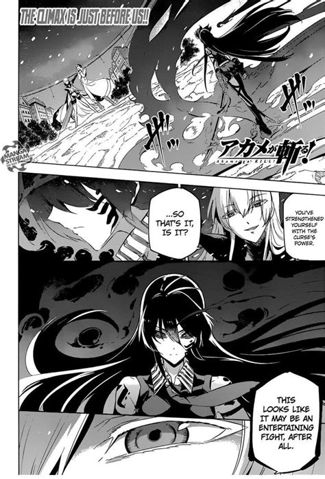 Akame Ga Kill Manga Series