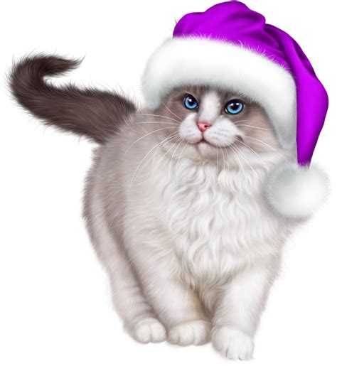 Cat Christmas Download PNG Image | PNG Mart png image