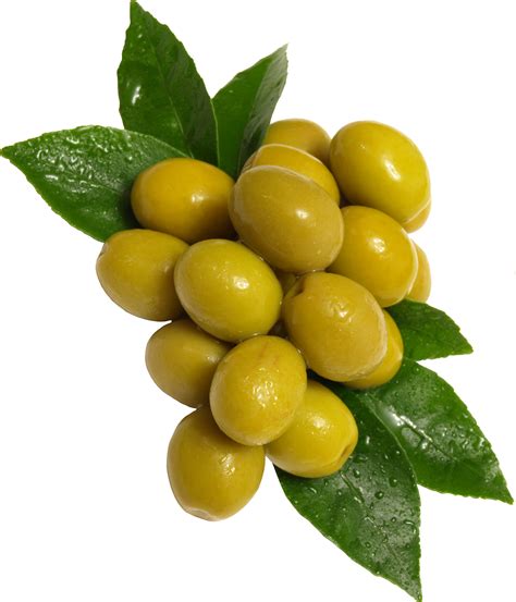 Green Olives Png Transparent Image Download Size 1936x2260px