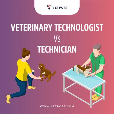 Veterinary Technologist Vs Technician Understanding The Differences In