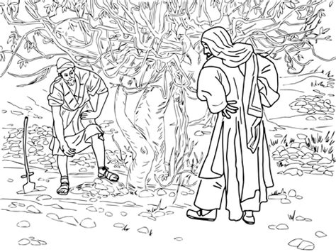 Und beim säen gesvhah es: Barren Fig Tree Parable coloring page | SuperColoring.com