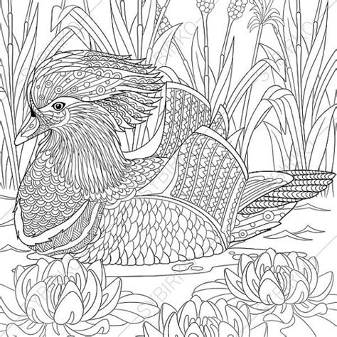 Jan 07, 2021 · downloading duck coloring pages is probably something that you want to do when you love the cute animal. Mandarin duck. 2 Coloring Pages. Animal coloring book pages